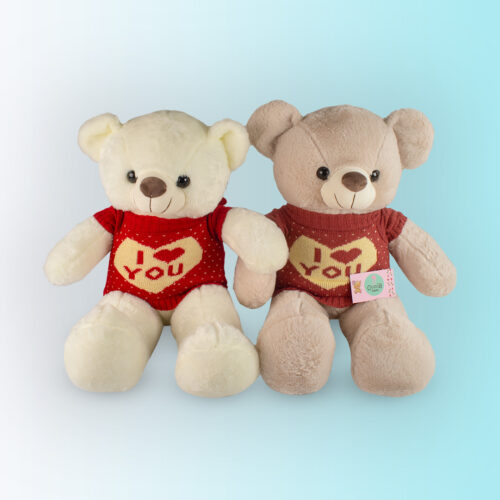 Peluche Grande con chompa corazón