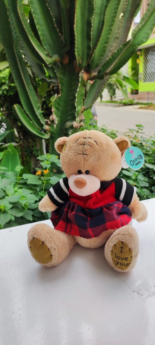 Parche Peluche Grande